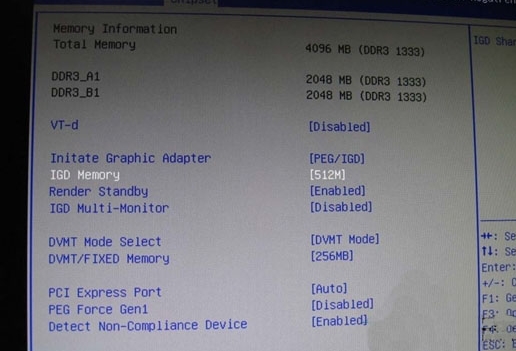 IGD Memory