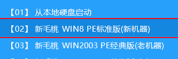 新毛桃主菜单界面