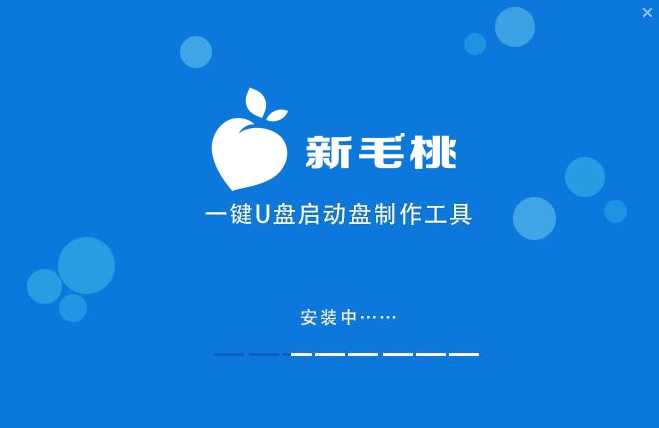 新毛桃